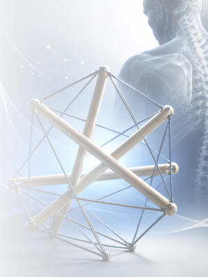 TENSEGRIDAD: LA RAZÓN DE LA POTENCIA EN OSTEOPATÍA