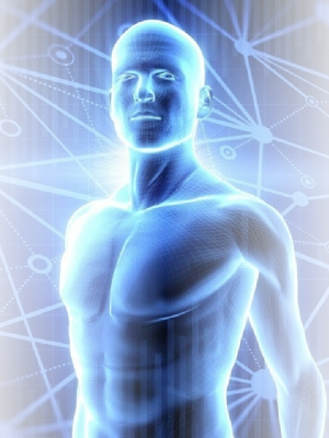 DIPLOMADO EN ANATOMÍA PALPATORIA APLICADA A LA MEDICINA OSTEOPÁTICA