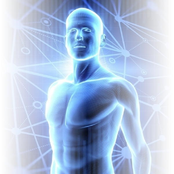 DIPLOMADO EN ANATOMÍA PALPATORIA APLICADA A LA MEDICINA OSTEOPÁTICA